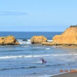 From Melbourne: Great Ocean Road Private Guided Tour by Car - An In-Depth Look at the Great Ocean Road Private Guided Tour