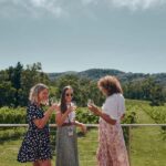 From Melbourne: Mornington Peninsula Hop-On-Hop-Off Bus - Who Will Love This Experience?