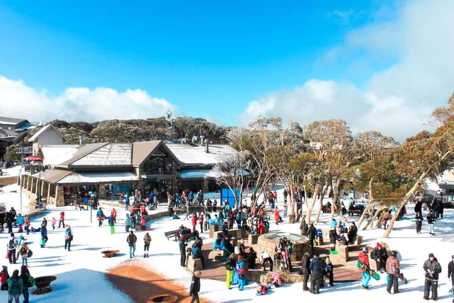 From Melbourne: Mount Buller Guided Day Tour - Analyzing the Value