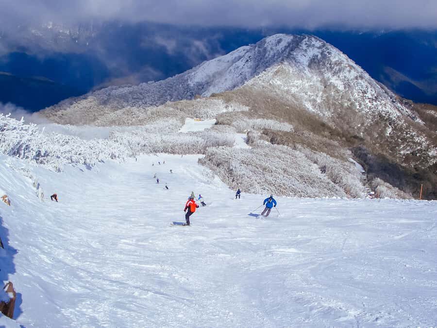 From Melbourne: Mt Buller Scenic Snow Getaway Day Tour - The Scenic Stop at Yea