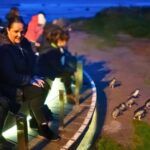 From Melbourne: Penguin Parade Afternoon Tour - An Introduction to the Tour Experience
