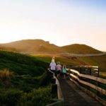 From Melbourne: Penguins and Wildlife Nature Day Tour - Why This Tour Works Well for Travelers