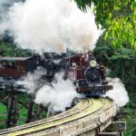 From Melbourne: Puffing Billy and Penguin Parade Combo Tour - An In-Depth Look at the Experience