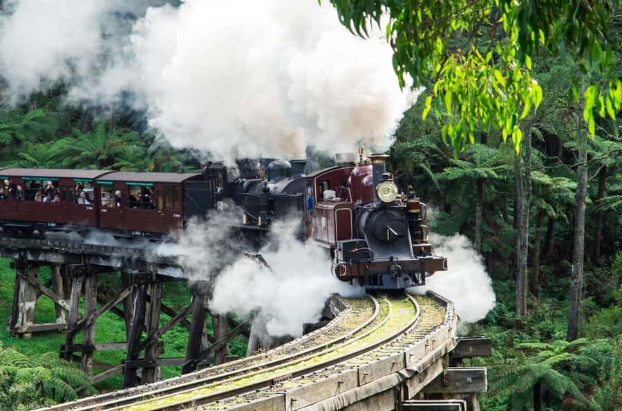 From Melbourne: Puffing Billy and Penguin Parade Combo Tour - An In-Depth Look at the Experience