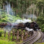 From Melbourne: Puffing Billy Steam Train & Wildlife Tour - Who Is This Tour Best For?