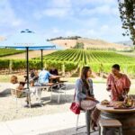 From Melbourne: Redwoods Forest & Yarra Valley Wine Tour - The Value Proposition