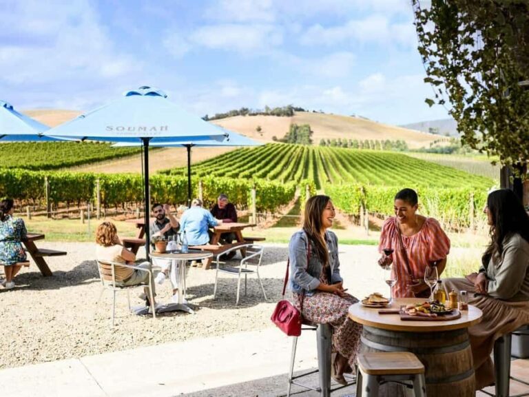 From Melbourne: Redwoods Forest & Yarra Valley Wine Tour - The Value Proposition