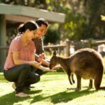 From Melbourne: Yarra Valley Wildlife & Wine Day Tour - Final Thoughts: Is This Tour Worth It?