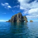 From Paihia: Hole in the Rock Cruise & Island Tour: 3 Hour - Who’s This Tour Best For?