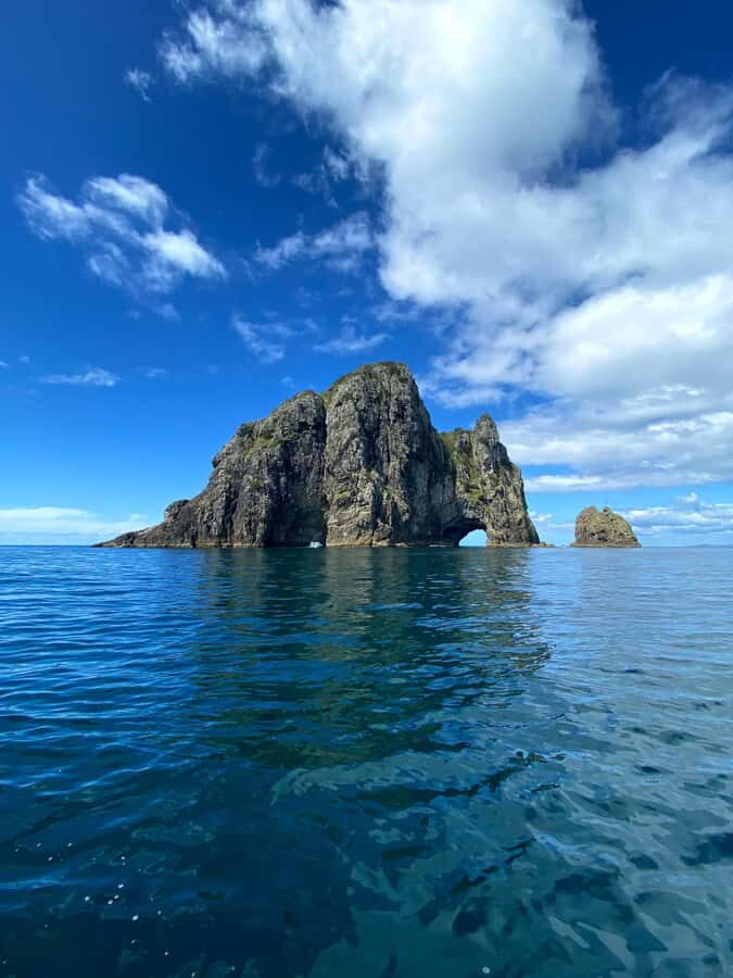 From Paihia: Hole in the Rock Cruise & Island Tour: 3 Hour - Who’s This Tour Best For?