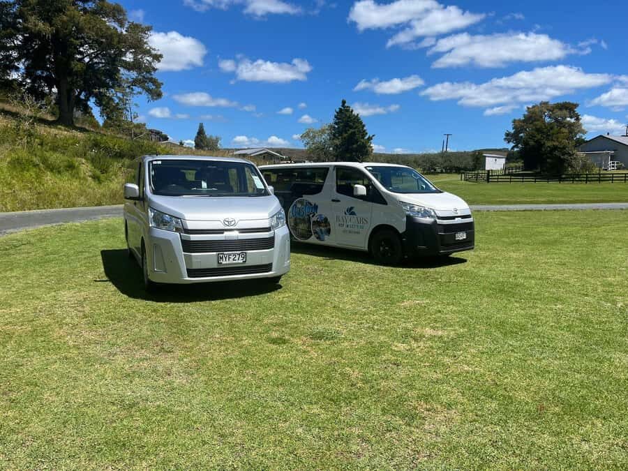 From Paihia: Kawiti Glowworm Caves Guided Tour - What to Expect from the Tour