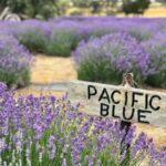 From Penneshaw: Kangaroo Island Shore Excursion Tasting Tour - What Makes This Tour Stand Out?