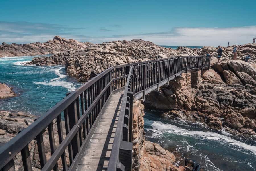 From Perth: Margaret River Wine Tour & Wildlife Cruise - The Value of This Tour