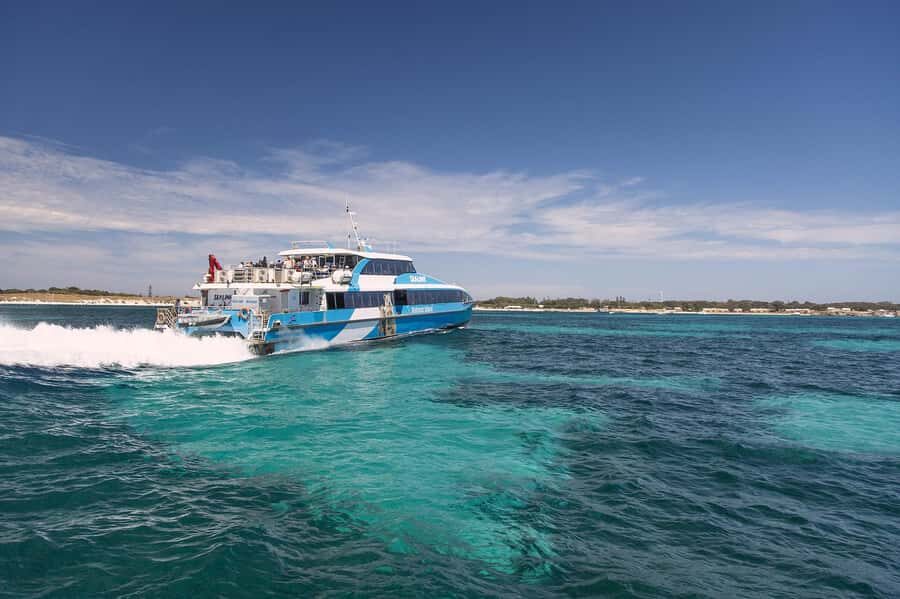 From Perth or Fremantle: Rottnest Island Ferry and Bus Tour - The Real Value of This Tour