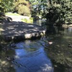 From Picton: Private Wine and Gourmet Tour of Marlborough - The Value of This Private Tour