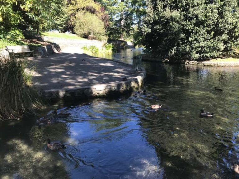 From Picton: Private Wine and Gourmet Tour of Marlborough - The Value of This Private Tour