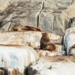 From Port Arthur: Tasman Island Wilderness Cruise - What to Expect on the Cruise