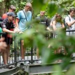 From Port Douglas: Daintree Rainforest & Mossman Gorge Tour - Mossman Gorge: Cultural Introduction and Refreshing Waters