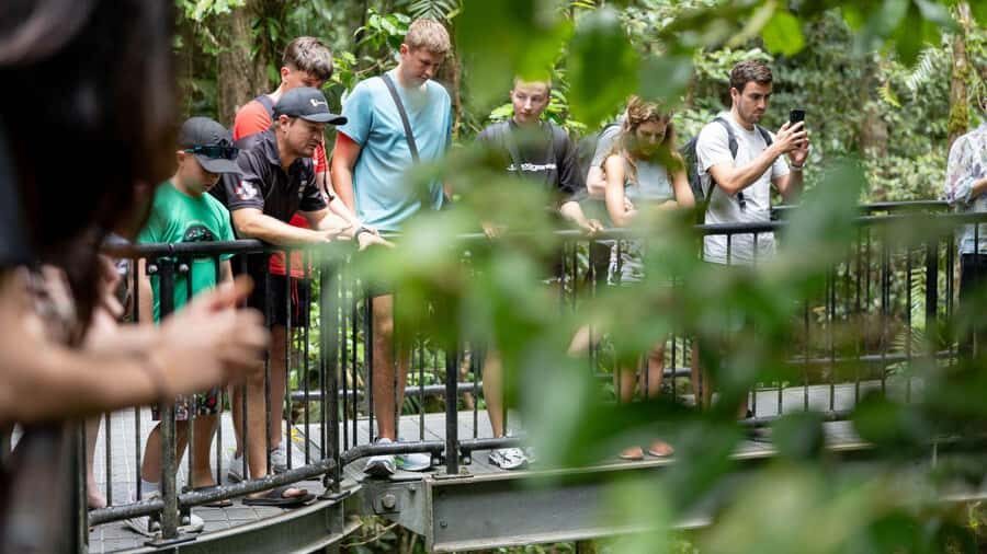 From Port Douglas: Daintree Rainforest & Mossman Gorge Tour - Mossman Gorge: Cultural Introduction and Refreshing Waters