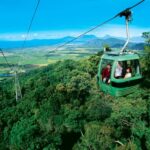 From Port Douglas: Kuranda via Scenic Rail or Skyrail Option - Deep Dive into the Itinerary