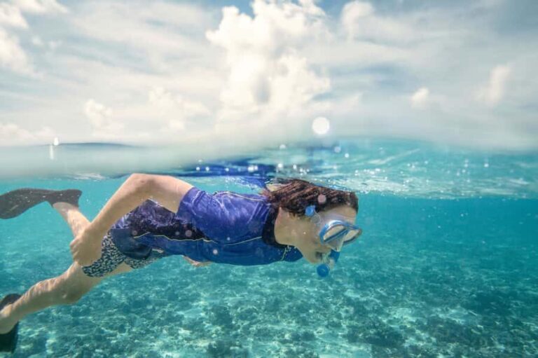 From Port Douglas: Outer Reef Cruise by Luxury Catamaran - What Makes This Tour Special?