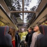 From Queenstown: Milford Sound Coach, Cruise, Scenic Flight - Practical Tips for Your Milford Sound Day Trip