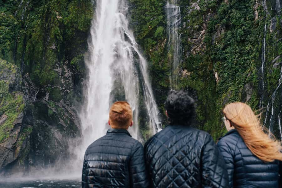 From Queenstown: Milford Sound Cruise and Scenic Drive - Why This Tour Works Well