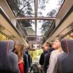 From Queenstown: Milford Sound Day Trip on Premium Coach - Final Thoughts: Is It Worth It?