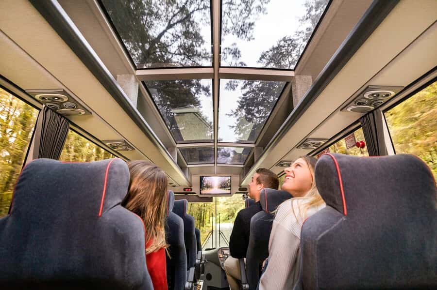 From Queenstown: Milford Sound Day Trip on Premium Coach - Final Thoughts: Is It Worth It?
