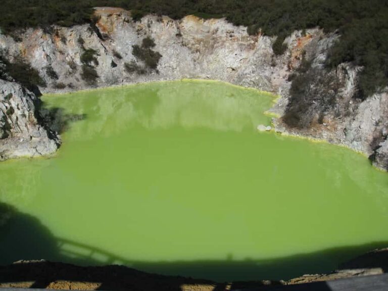From Rotorua: Wai O Tapu & Waimangu Eco Thermal Morning Tour - Who This Tour Is Perfect For