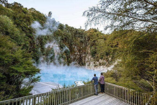 From Rotorua WAIMANGU VOLCANIC VALLEY Half Day Tour - Exploring Waimangu Volcanic Valley: What You Can Expect