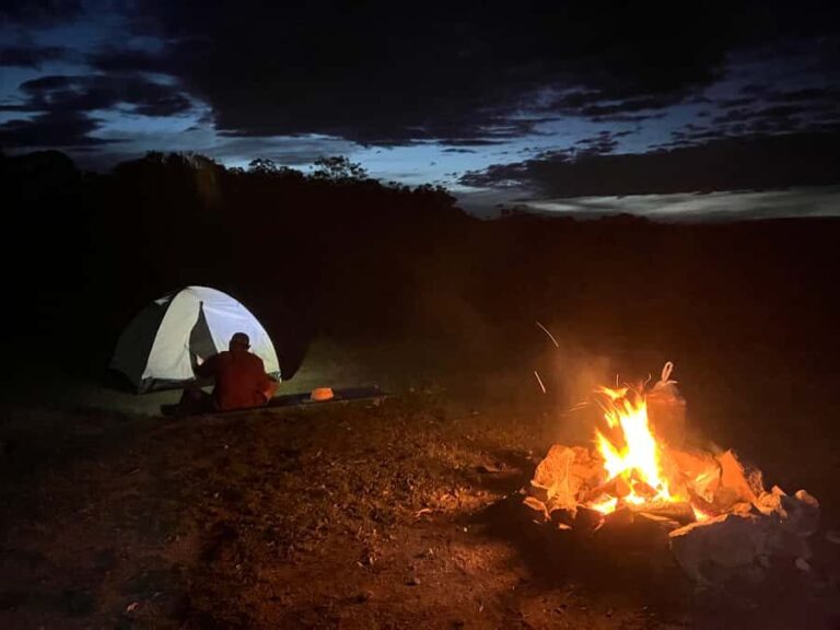 From Sydney: 2-Day Blue Mountains Camping 4WD & River Cruise - What’s Unique About This Tour