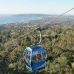 From Sydney: Blue Mountains and Featherdale Tour - Featherdale Wildlife Park: Close Encounters with Australian Animals