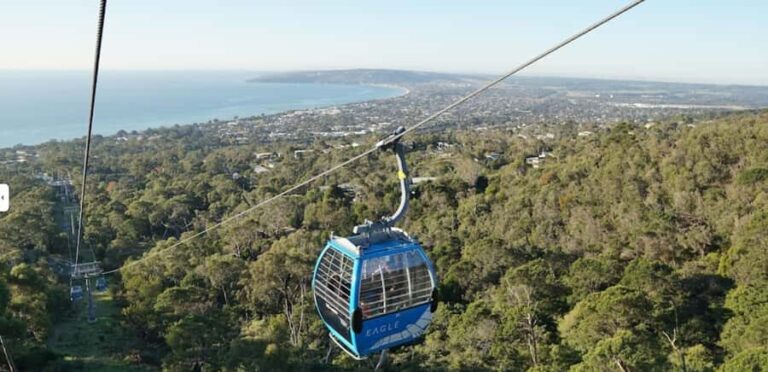 From Sydney: Blue Mountains and Featherdale Tour - Featherdale Wildlife Park: Close Encounters with Australian Animals