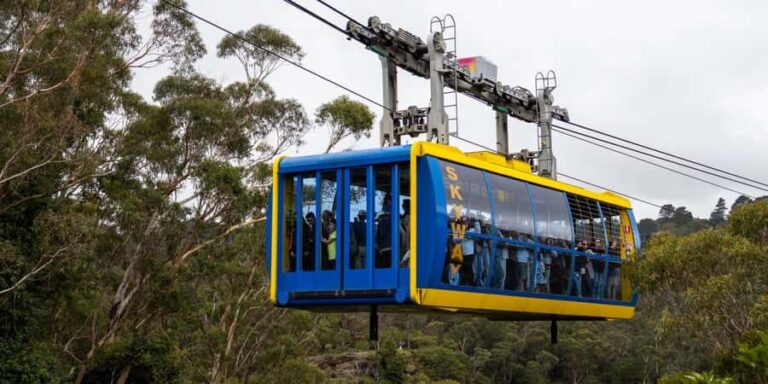 From Sydney: Blue Mountains, Scenic Railway, & Sydney Zoo - Who Should Book This Tour?