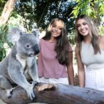 From Sydney: Blue Mountains, Scenic World, Zoo, & Ferry Ride - Transport, Timing, and Group Size