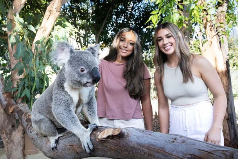 From Sydney: Blue Mountains, Scenic World, Zoo, & Ferry Ride - Transport, Timing, and Group Size