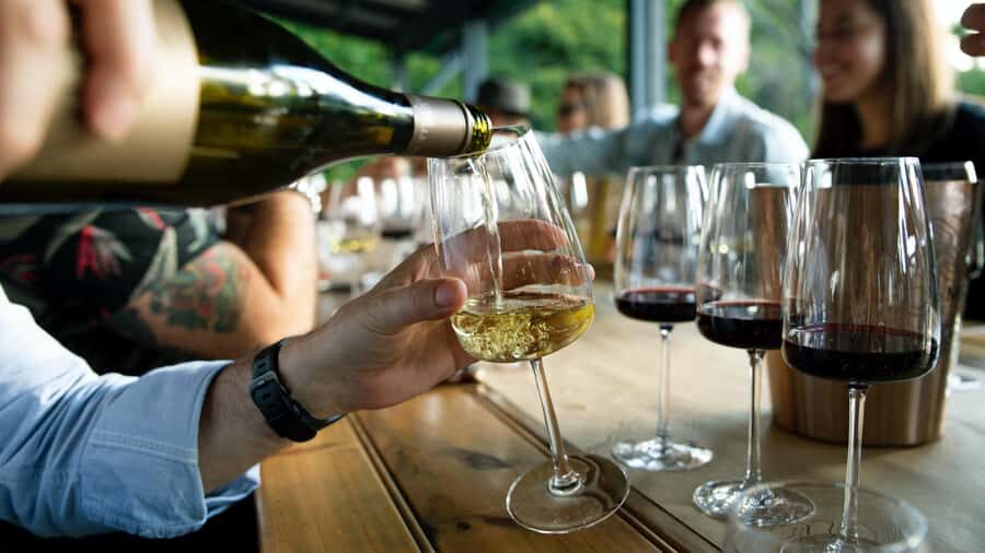 From Sydney: Full-Day Hunter Valley Tour w/ Tastings & Lunch - Who Should Consider This Tour?