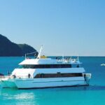 From Sydney: Port Stephens Dolphin, Koalas, Lunch & Sandboarding - Authentic Feedback from Travelers