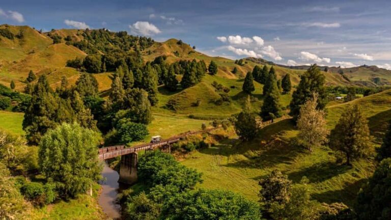 From Taumarunui: The Republic Rail Cart Adventure - An In-Depth Look at the Tour