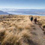 From Te Anau: Full Day Kepler Track Guided Heli-Hike - The Guided Hike on the Kepler Track