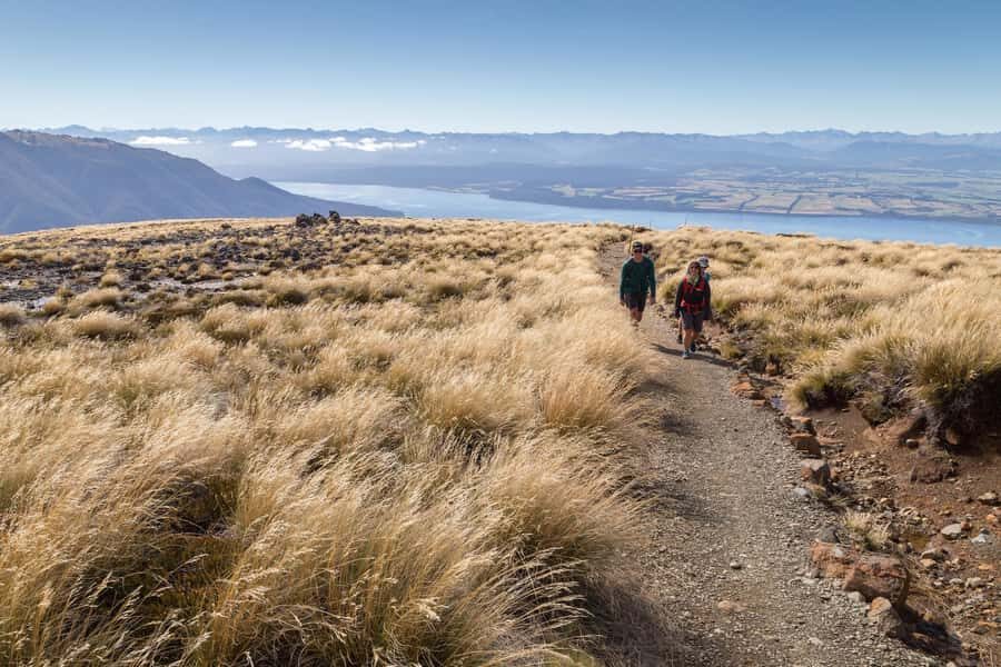 From Te Anau: Full Day Kepler Track Guided Heli-Hike - The Guided Hike on the Kepler Track