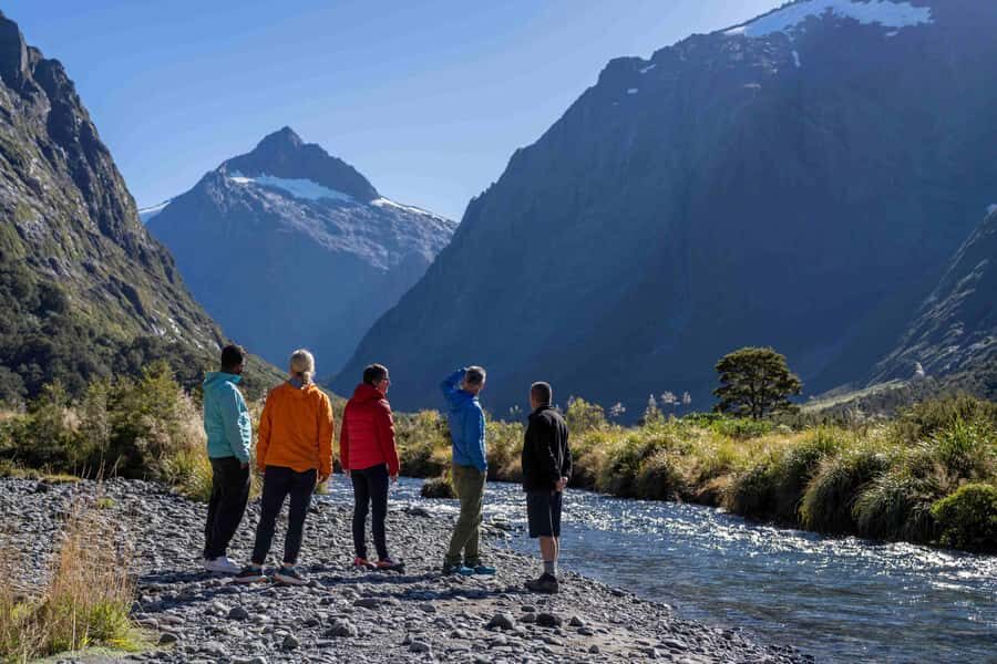 From Te Anau: Milford Sound Coach, Cruise, and Walks - Authenticity and the Small Group Advantage