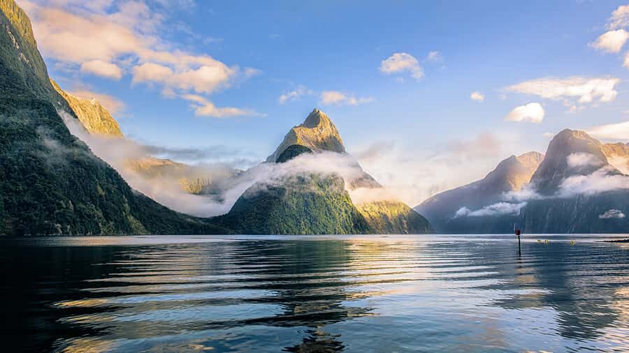 From Te Anau: Milford Sound Small-Group Tour Including Lunch - An In-Depth Look at the Milford Sound Small-Group Tour