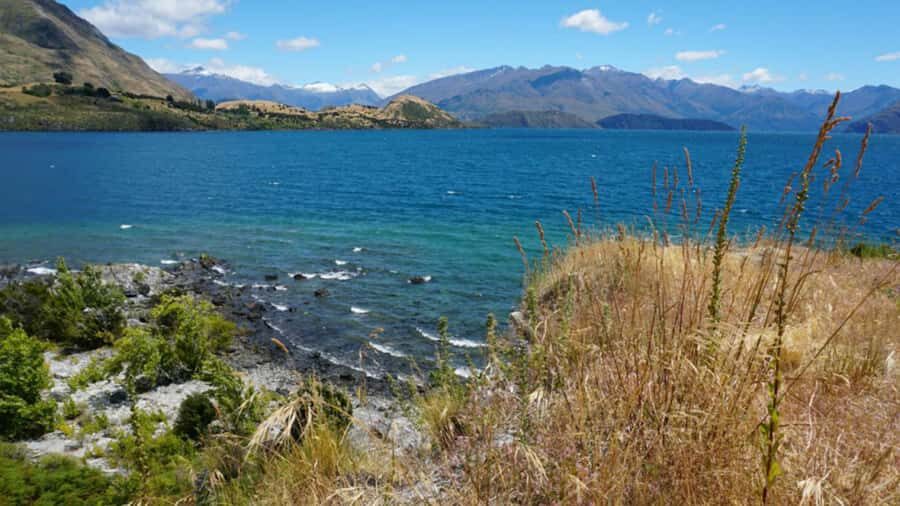 From Wanaka: Ruby Island 1-Hour Cruise and Photo Walk - Visiting Ruby Island: A Walk with a View