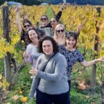 From Wellington: Martinborough Winery Tour - Authentic Experiences and What Travelers Say