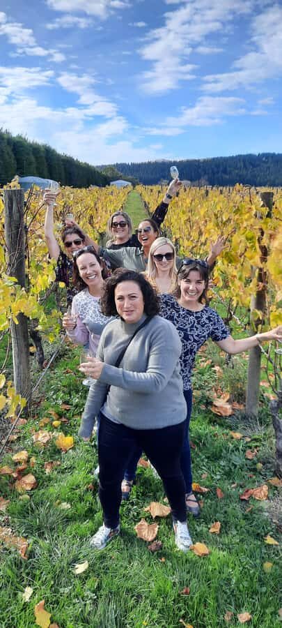 From Wellington: Martinborough Winery Tour - Authentic Experiences and What Travelers Say