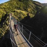 From Wellington: Remutaka Rail Trail eBike Tour - The Itinerary in Detail