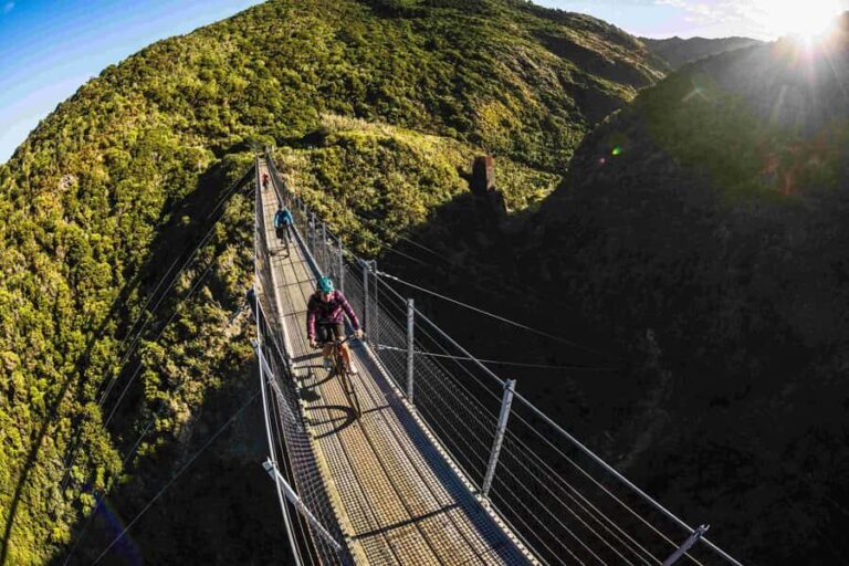 From Wellington: Remutaka Rail Trail eBike Tour - The Itinerary in Detail
