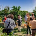 Fruit Picking & Nature Private Tour Yarra Valley & Warburton - Frequently Asked Questions